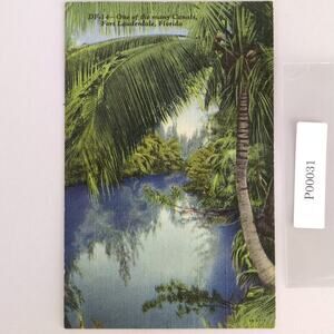 Vintage 1946 Linen Postcard Tropical Canal Fort Lauderdale Florida Palm Tree